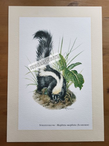 Striscia stampa artistica - striscia,,
